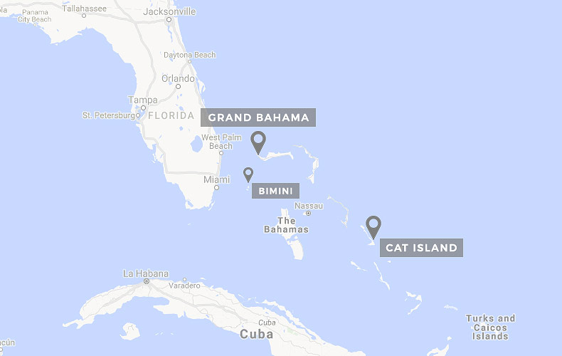 Best Shark Dive Sites: Bahamas